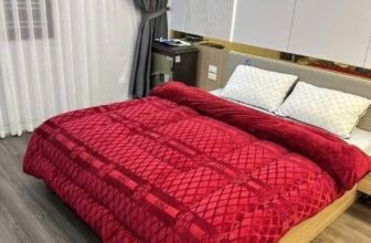 [🆕🇻🇳] Bích Phượng 2HAND – Chuyên si lẻ hàng Quảng Châu giá rẻ 1x 2x 3x 👕 Top1Fashion 👗  Còn ít BÁNTẶNG   (ko nghe nhầm ạ)
Mỗi c ủng hộ e 1 chăn cho hết ạ
Hạ nhiệt đón đông, giảm giá gốc #100kaa /1  chăn thỏ kích thước 2 , shares-0✔️ , likes-13❤️️ , date-2025-10-30 13:54:33🇻🇳🇻🇳🇻🇳📰🆕