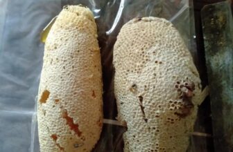 [🆕🇻🇳] Đồ trẻ em giá rẻ Sỉ và lẻ giày dép giá rẻ 🧑‍🧒❤️️👶⭐️ Bình luận đã bị tắt cho bài viết này.
, shares-0✔️ , likes-0❤️️ , date-2019-05-05 15:39:08🇻🇳🇻🇳🇻🇳📰🆕