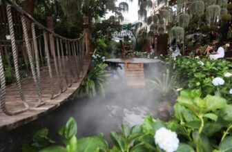 [☕️🇻🇳] Quán cà phê như vườn địa đàng – Nơi chia sẻ kinh nghiệm du lịch