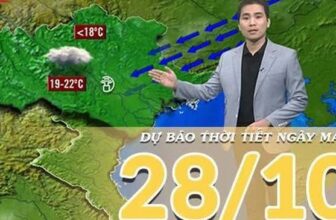 [🆕🇻🇳]  Lullabybaby – Thời trang cho bé 🧑‍🧒❤️️👶⭐️ Lạnh rùi nhé, shares-0✔️ , likes-0❤️️ , date-2025-10-28 16:38:53🇻🇳🇻🇳🇻🇳📰🆕