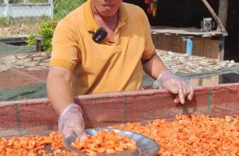 [🆕🇻🇳] Vựa Tôm Cô Ba – Chuyên Sỉ và Lẻ Các loại khô bao giá thị trường 🍔 Top1Food  🍜  , shares-1169✔️ , likes-43K❤️️ , date-2024-06-08 17:22:43🇻🇳🇻🇳🇻🇳📰🆕