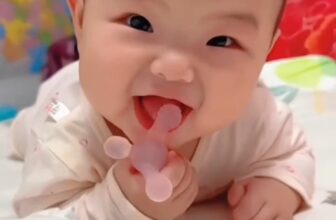 [🆕🇻🇳] Shop Bé Cơm 🧑‍🧒❤️️👶⭐️  , shares-350✔️ , likes-16K❤️️ , date-2024-07-10 09:46:46🇻🇳🇻🇳🇻🇳📰🆕