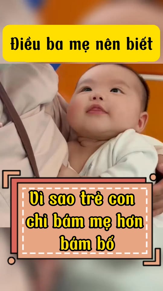 [🆕🇻🇳]  Baby shop – Thế Giới của Mẹ & Bé 🧑‍🧒❤️️👶⭐️ Vì sao em bé chỉ bám mẹ mà không bám bố… #nuoiconnhanlam  #tresosinh #chamsoctreem #baby #hottrend , shares-0✔️ , likes-2❤️️ , date-2024-12-04 22:50:33🇻🇳🇻🇳🇻🇳📰🆕