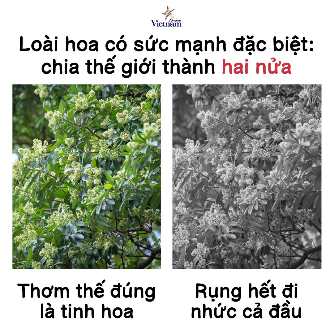 [🆕🇻🇳] TADA KIDS 5.0 Cung cấp sỉ lẻ thời trang, phụ kiện trẻ em 🧑‍🧒❤️️👶⭐️ 5 BƯỚC GIỮ AN TOÀN CHO CON TRÊN MẠNG XÃ HỘIBƯỚC 1: Đặt giới hạn cho người dùngXác định lượng thời gian sử dụng thiết bị an toàn và lành mạnh dựa trên đ , shares-0✔️ , likes-0❤️️ , date-2024-10-13 15:49:17🇻🇳🇻🇳🇻🇳📰🆕