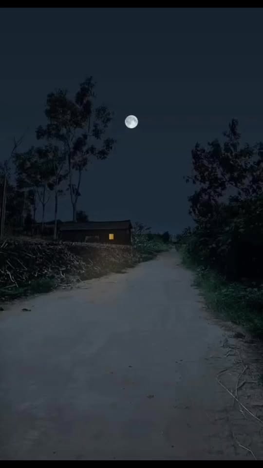 [🆕🇻🇳] Học viện cắt tỉa lông Quốc tế – Queen Pet International Grooming Academy 🐶🦜 Top1Pets 🐱🐠  HỌC VIÊN KHOÁ CHUYÊN SÂU LEVEL C TẠI QUEEN PET – TRƯỚC KHI CẮT ĐẸP, PHẢI BIẾT CHẢI ĐÚNGNhiều bạn mới bắt đầu học grooming thường nghĩ rằng: “Cắt kéo sao , shares-0✔️ , likes-0❤️️ , date-2025-08-18 01:34:44🐶🐱🇻🇳🇻🇳🇻🇳📰🆕