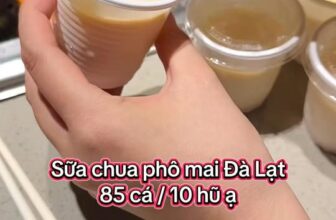 [🆕🇻🇳] Bảo Vy Food – Đặc Sản Đà Lạt  🍔 Top1Food  🍜  Sữa chua phô mai làm món tráng miệng trong bữa ăn quá là đã luôn mấy chị iu ơi
Vị sữa chua chua dịu thanh mát
Phô mai béo ngậy, tan ngay đầu lưỡi
Giàu , shares-0✔️ , likes-10❤️️ , date-2025-09-07 21:12:53🇻🇳🇻🇳🇻🇳📰🆕