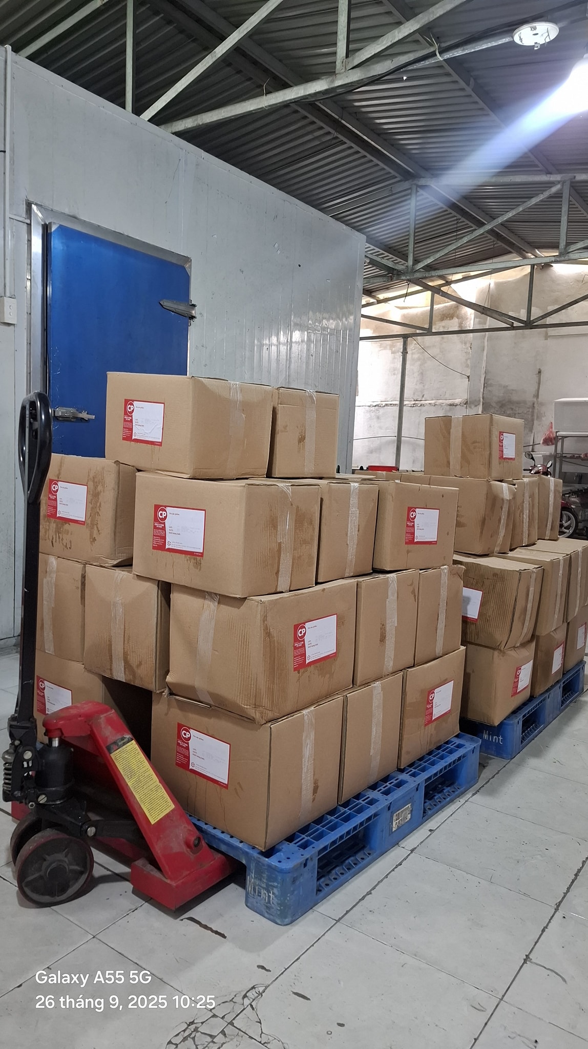 [🆕🇻🇳] Cung Cấp Cá Bò Viên Chiên Sỉ Và Lẻ – Chuyên cung cấp cá bò viên chiên và các thực phẩm đông lạnh xiên que 🍔 Top1Food  🍜 Gà Cp về kho, giá tốt cho anh chị nào cần.
Zalo & Telegram: 0867999379
 , shares-1✔️ , likes-3❤️️ , date-2025-09-26 17:29:44🇻🇳🇻🇳🇻🇳📰🆕