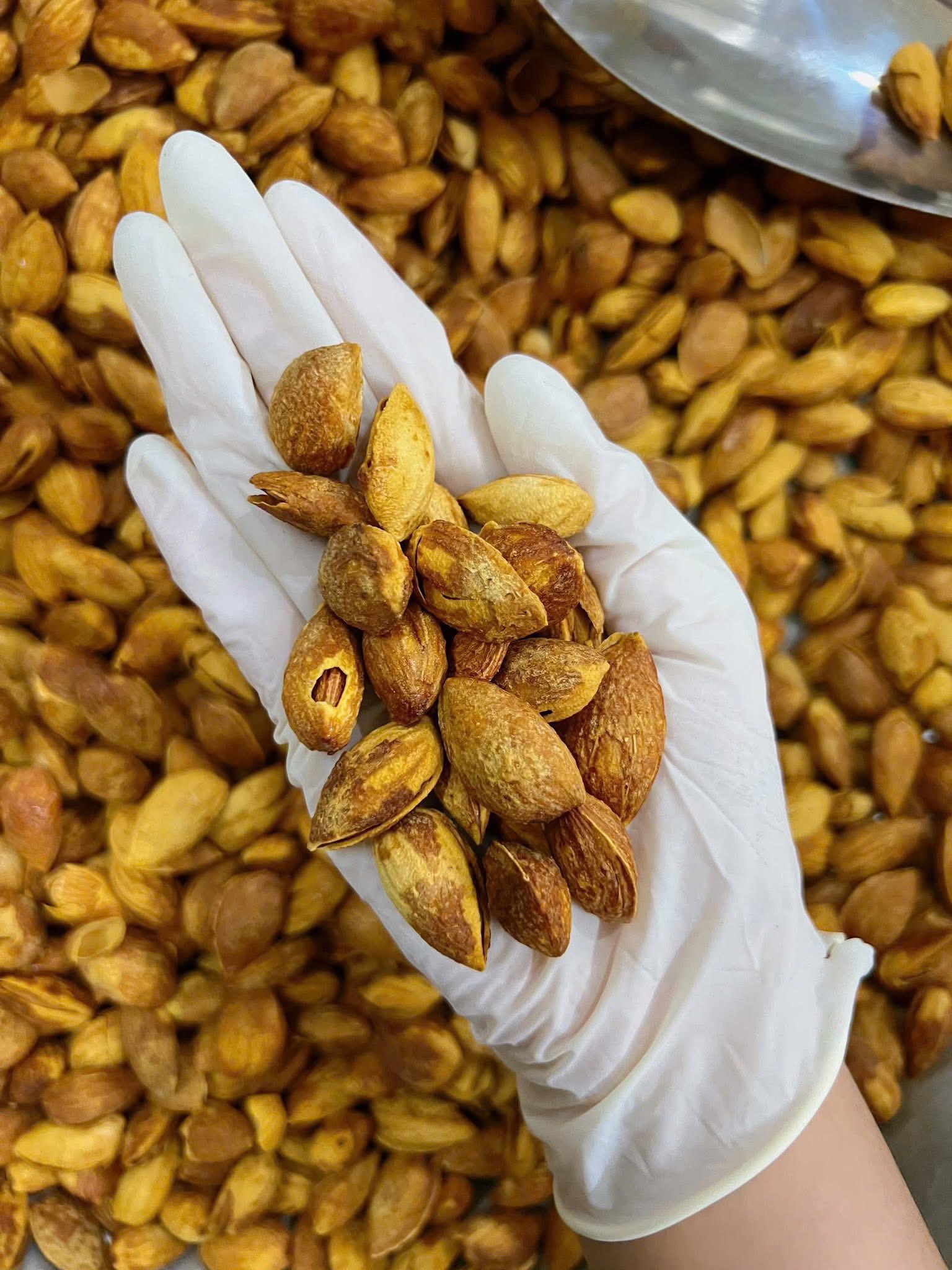 [🆕🇻🇳] Nguyên Trí Baby – Cùng mẹ chăm con 🧑‍🧒❤️️👶⭐️  MÁY HÂM SỮA DI ĐỘNG MOAZ BÉBÉ MB069: ẤM NÓNG NGUỒN SỮA MẸ, CON BÚ NO MỌI NƠI
– Thiết kế nhỏ gọn, đính kèm 1 bình thủy tinh 300ml
– Được tặng kèm 4 cổ nối  , shares-1✔️ , likes-0❤️️ , date-2025-10-03 02:00:13🇻🇳🇻🇳🇻🇳📰🆕