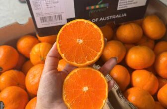 [🆕🇻🇳] Hoa Quả 4Mùa – Cửa hàng rau quả 🍔 Top1Food  🍜  Trái cây nhà e hôm nay gồm có
Nho mẫu đơn xanh chùm VIP : 179k/chùm
Táo cherry giòn ngọt : #59k/ hộp
Nho đỏ ruby giòn ngọt : #149k/kg
Kẹo hũ socola tươi , shares-0✔️ , likes-0❤️️ , date-2025-10-10 18:32:42🇻🇳🇻🇳🇻🇳📰🆕