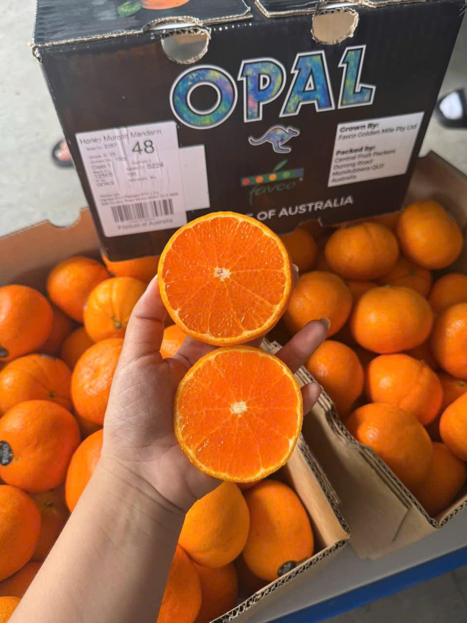 [🆕🇻🇳] Hoa Quả 4Mùa – Cửa hàng rau quả 🍔 Top1Food  🍜  Trái cây nhà e hôm nay gồm có 
Nho mẫu đơn xanh chùm VIP : 179k/chùm 
Táo cherry giòn ngọt : #59k/ hộp
Nho đỏ ruby giòn ngọt : #149k/kg
Kẹo hũ socola tươi , shares-0✔️ , likes-0❤️️ , date-2025-10-10 18:32:42🇻🇳🇻🇳🇻🇳📰🆕