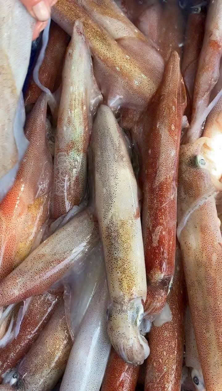 [🆕🇻🇳]  Lê Trà Ni 2hand Mẹ và Bé – Chuyên đồ si mẹ và bé  🧑‍🧒❤️️👶⭐️ 12h15(5/11) shop live quần nỉ cho mẹ (suông, joger…) 79k#2hand #2handvintage #2handshop
, shares-1✔️ , likes-21❤️️ , date-2025-11-05 00:17:01🇻🇳🇻🇳🇻🇳📰🆕