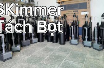 [🆕🇻🇳] TÔM HÙM KHÁNH HOÀ – Chuyên sỉ lẻ, tôm hùm sống, tôm hùm ngộp, tôm hùm cấp đông, số lượng lớn 🍔 Top1Food  🍜  , shares-1✔️ , likes-19❤️️ , date-2025-10-09 02:03:25🇻🇳🇻🇳🇻🇳📰🆕