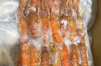 [🆕🇻🇳] Ngọc Điểm Food-chuyên cung cấp các loại thực phẩm: thịt heo, thịt bò, thịt gà, cá, tôm 🍔 Top1Food  🍜 Tôm hùm đất size 20-30
Sỉ 150k/kg
, shares-0✔️ , likes-0❤️️ , date-2025-10-11 02:34:29🇻🇳🇻🇳🇻🇳📰🆕