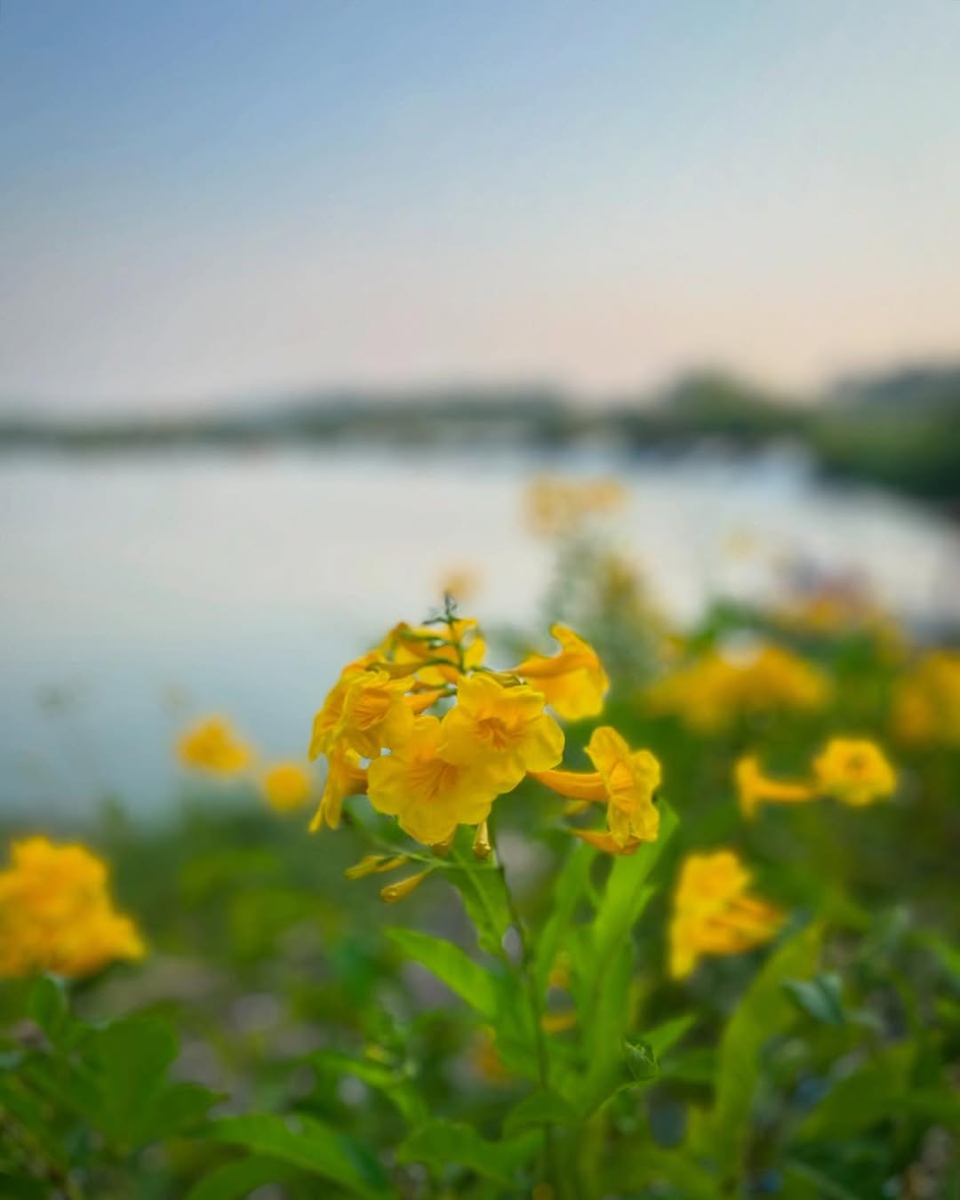 [🆕🇻🇳] POLKAHOLICS – Cửa hàng quần áo nữ 👕 Top1Fashion 👗  TÍCH ÂM ĐỨC – CẢI SỐ MỆNH (Phần 3): Những Dấu Hiệu Cho Thấy Vận Mệnh Đang Chuyển HóaỞ Phần 1, chúng ta đã học cách gieo trồng những hạt giống phúc lành.  , shares-0✔️ , likes-0❤️️ , date-2025-10-19 21:32:03🇻🇳🇻🇳🇻🇳📰🆕