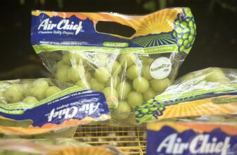 [🆕🇻🇳] Giò Chả Nhà Nếp-Lò chả gia truyền chuyên các loại chả 🍔 Top1Food  🍜 Nếp vừa về nho xanh..to,giòn,ngọt vừa ko quá gắt nha,mã này lúc nào cũng chuẩn lắm lun180K/1kg thui
, shares-0✔️ , likes-2❤️️ , date-2025-10-20 21:06:36🇻🇳🇻🇳🇻🇳📰🆕