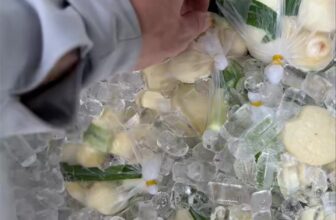 [🆕🇻🇳] Mộng Dừa – Chuyên Sỉ & Lẻ – Modubet Food – Ăn vặt Healthy – Món lạ món ngon- Chuyên Phân phối cung cấp Mộng dừa Bến Tre SLL 🍔 Top1Food  🍜 20/10 Quốc tế Phụ Nữ !!!!
– Kính chúc tất cả chị em luôn xinh gái.
– Luôn được các anh chồng,ny cưng và chiều.
– Mãi luôn hạnh phúc và thiệc nhiều xi , shares-0✔️ , likes-0❤️️ , date-2025-10-20 21:43:19🇻🇳🇻🇳🇻🇳📰🆕