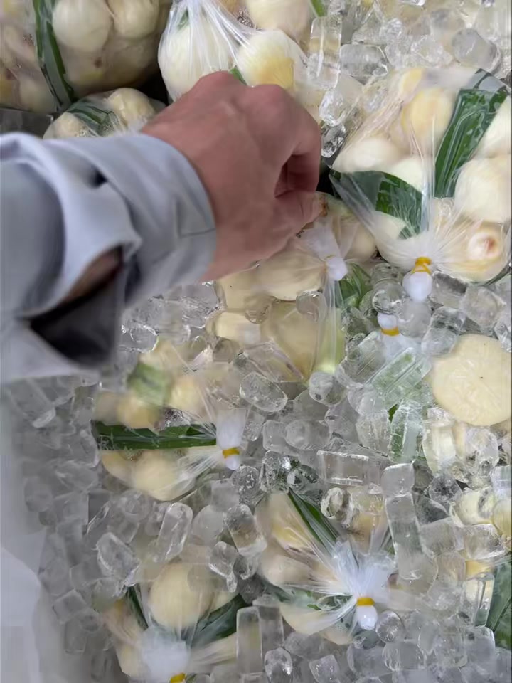 [🆕🇻🇳] Lazada là trang mua sắm trực tuyến uy tín hàng đầu tại Việt Nam ♥️️ Top1Index 📚  MỪNG NGÀY PHỤ NỮ VIỆT NAM – CÙNG LDB SĂN SUPER DEAL – DUY NHẤT 20.10

 SĂN ƯU ĐÃI TẠI: 

 Cân bằng thắng mụn – Giảm mụn nhanh sau 8H cùng LA ROCHE-POSAY EF , shares-0✔️ , likes-7❤️️ , date-2025-10-20 21:49:13🇻🇳🇻🇳🇻🇳📰🆕