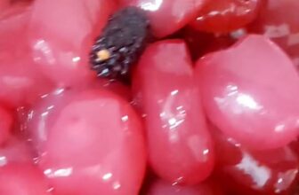 [🆕🇻🇳] Bếp Nhà Hana – Khơi nguồn ón ăn ngon 🍔 Top1Food  🍜 Đác rim dâu tằm chua ngọt vừa cho khách. Bếp thương mời nhà mình dặn đơn – 0938 75 43 88(zalo)#đácrimdâutằm
#làmtheoyêucầu
#bếpnhàhana , shares-0✔️ , likes-4❤️️ , date-2025-10-24 19:55:27🇻🇳🇻🇳🇻🇳📰🆕