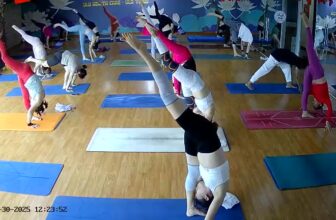 [🆕🇻🇳] ULA Namaste YOGA – Đào tạo HLV Yoga Quốc tế 100h-200h-300h-500h  🧘 Top1Yoga 🤸🏻‍♀️ Trời mưa gió nhưng phòng tập nhà ULA vẫn kín thảm ạ#UlaYoga
#UlaNamasteYoga , shares-0✔️ , likes-13❤️️ , date-2025-10-30 20:50:51🇻🇳🇻🇳🇻🇳📰🆕