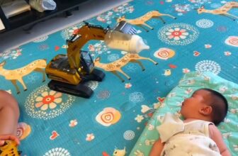 [🆕🇻🇳] Yêu Con ♥️️ Top1Life 🌱  Nhờ chồng trông hộ một hôm mà xem xong muốn tiền đình…  , shares-0✔️ , likes-19❤️️ , date-2025-11-01 17:29:09🇻🇳🇻🇳🇻🇳📰🆕