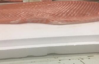 [🆕🇻🇳] Cá Hồi NaUy GT Thái Nguyên – Cá hồi tươi nhập khẩu trực tiếp từ Nauy bằng máy bay 🍔 Top1Food  🍜  , shares-0✔️ , likes-1❤️️ , date-2025-10-30 13:22:46🇻🇳🇻🇳🇻🇳📰🆕