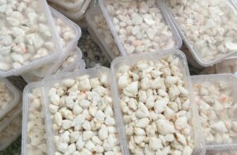 [🆕🇻🇳] ANH THƯ FOOD – Thịt Càng Cua / Thịt Ghẹ -Tôm Tích 🍔 Top1Food  🍜 ………      Thịt Đùi Ghẹ Lột Sẵn     ………..
.             Hàng Về Ê Hề Giao Sỉ Đây Ạ        .
. Bên Em Cung Cấp Hàng Tươi Mới Mỗi Ngày
Khách c , shares-0✔️ , likes-1❤️️ , date-2025-11-01 23:58:04🇻🇳🇻🇳🇻🇳📰🆕