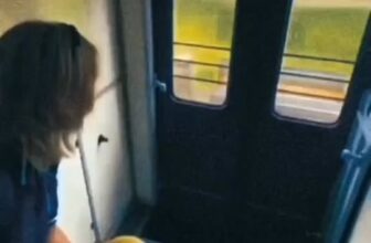 [🆕🇻🇳] ChouChou – Bakery and Tea Shop 🍔 Top1Food  🍜 Tuần mới nạp đầy nặng lượng tích cực cùng ChouChou – Bakery and Tea Shop nhé———————————-
𝐂𝐡𝐨𝐮𝐂𝐡𝐨𝐮 𝐁𝐚𝐤𝐞𝐫𝐲 𝐚𝐧𝐝 𝐓𝐞𝐚 𝐒𝐡𝐨𝐩|0𝟻 đ𝚞̛𝚘̛̀ , shares-0✔️ , likes-10❤️️ , date-2025-11-03 15:23:56🇻🇳🇻🇳🇻🇳📰🆕