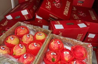 [🆕🇻🇳] Chio shop – Cửa hàng rau quả 🍔 Top1Food  🍜 Lựu Rubibi em về tiếp ạ – đây là loại lựu ngọt nhất trong tất cả các dòng lựu nhập nha– Ngọt lịm, hạt mềm, mọng nước, rất ngon100k/kg
300k/thùng 3.2-3. , shares-0✔️ , likes-0❤️️ , date-2025-10-30 16:16:10🇻🇳🇻🇳🇻🇳📰🆕