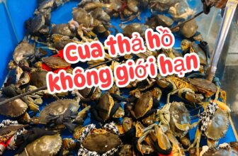 [🆕🇻🇳] Buffet ĐÀ LẠT Lẩu – Nướng Hải Sản 179 Chi Nhánh Quận 2 🍔 Top1Food  🍜  **ĐẠI TIỆC THÁNG 11 – CÀNG ĐÔNG CÀNG GIẢM GIÁ!**Nhóm 5 người ➜ Giảm **50K**
Nhóm 10 người ➜ Giảm **100K**
Nhóm 20 người ➜ Giảm **200K**
**Đi càng đ , shares-18✔️ , likes-390❤️️ , date-2025-10-29 03:20:16🇻🇳🇻🇳🇻🇳📰🆕