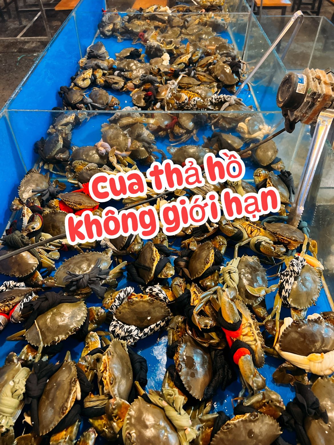 [🆕🇻🇳] Hà Phương – Chuyên Săn Sale Hàng Authentic 👕 Top1Fashion 👗  “Thanh Lý Sale 60% – Bản hiếm
Áo Khoác Tô-My order tại Store US
Hàng chuẩn hãng đẹp xuất sắc
Hàng lẻ size còn ít hàng Shop đại hạ giá nốt cho anh em
Kiểm  , shares-0✔️ , likes-2❤️️ , date-2025-10-29 03:26:27🇻🇳🇻🇳🇻🇳📰🆕