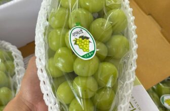 [🆕🇻🇳] Green World Fruit – Thế giới trái cây sạch 🍔 Top1Food  🍜 NHO MẪU ĐƠN HÀN QUỐC PREMIUM
SIÊU THƠM – SIÊU NGON – QUẢ SIÊU TO
#659K/CHÙM ~ 1KGNho mẫu đơn Shine Muscat có xuất xứ từ Nhật Bản và được trồng trong nhà , shares-0✔️ , likes-3❤️️ , date-2025-11-01 20:22:22🇻🇳🇻🇳🇻🇳📰🆕