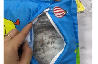 [🆕🇻🇳] Đồ Sơ Sinh Xả Kho – Đồ sơ sinh, phụ kiện cho Mẹ & Bé giá bán tại xưởng 🧑‍🧒❤️️👶⭐️ ￼
Gối lá đinh lăng hàng cao cấp đủ size cho bé giúp bé chống mồ hôi trộm, giật mình
*** Shop gửi hình gối ngẫu nhiên phù hợp theo lựa chọn giới tính (Trai/ , shares-0✔️ , likes-0❤️️ , date-2025-11-02 05:04:30🇻🇳🇻🇳🇻🇳📰🆕