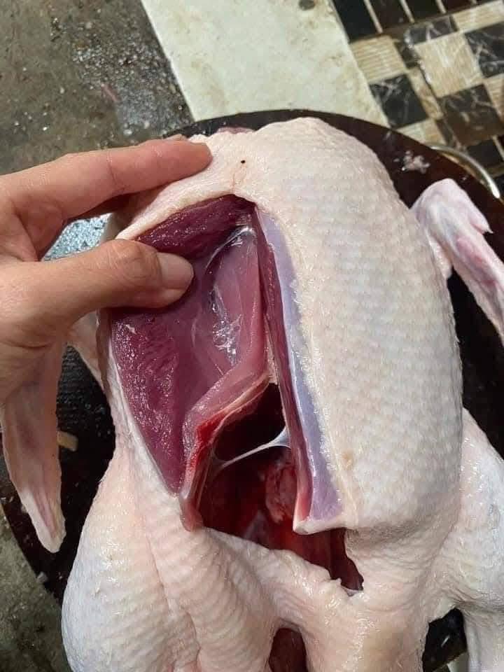 [🆕🇻🇳] Hằng Ốc – Chuyên Sỉ Lẻ Thời Trang  (Ốc) 🧑‍🧒❤️️👶⭐️ Giải cứu vịt giúp e các c ơi. Vịt ngon khoảng 3,5kg/1con. #45k/ 1kg.
Các bác ăn đặt giúp e để 15h e bảo mẹ e trở ra quán ạ. Mưa này luộc cũng ngon, nướng  , shares-1✔️ , likes-59❤️️ , date-2025-11-02 20:14:29🇻🇳🇻🇳🇻🇳📰🆕