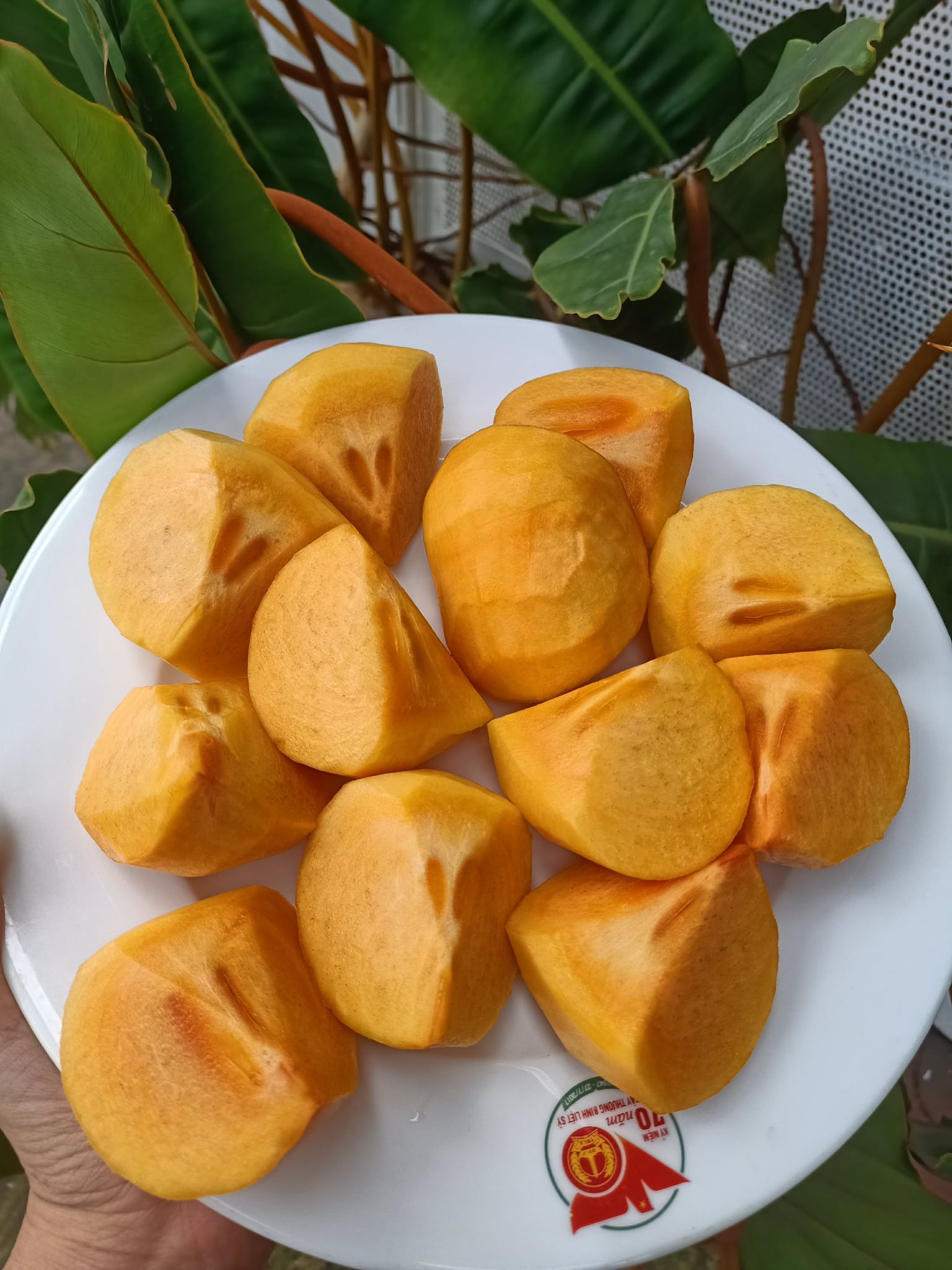 [🆕🇻🇳] Trái Cây Nhập Khẩu Đường Bay – Cửa hàng rau quả 🍔 Top1Food  🍜 Hồng giòn mật em về siêu ngon #70k/kg 6trái giòn rụm- ngọt lịm cực ngon. Ngọt đậm và ko bị chát vỏ ạ. Size siêu to #80k/kg 4trái.

Hồng đang vào vụ siêu ng , shares-0✔️ , likes-0❤️️ , date-2025-11-04 15:57:04🇻🇳🇻🇳🇻🇳📰🆕