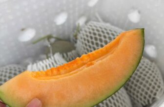 [🆕🇻🇳] Trái cây nhập khẩu – Han Fruit 🍔 Top1Food  🍜 Dưa Mật Egarden L1 – Nhập kho chuyến mới ah
Về dưa mật thì vị như tên, độ ngọt cao hơn các loại dưa lưới khác.
Loại L1 trái sẽ ko tròn đều như những loại , shares-1✔️ , likes-2❤️️ , date-2025-11-04 20:13:12🇻🇳🇻🇳🇻🇳📰🆕