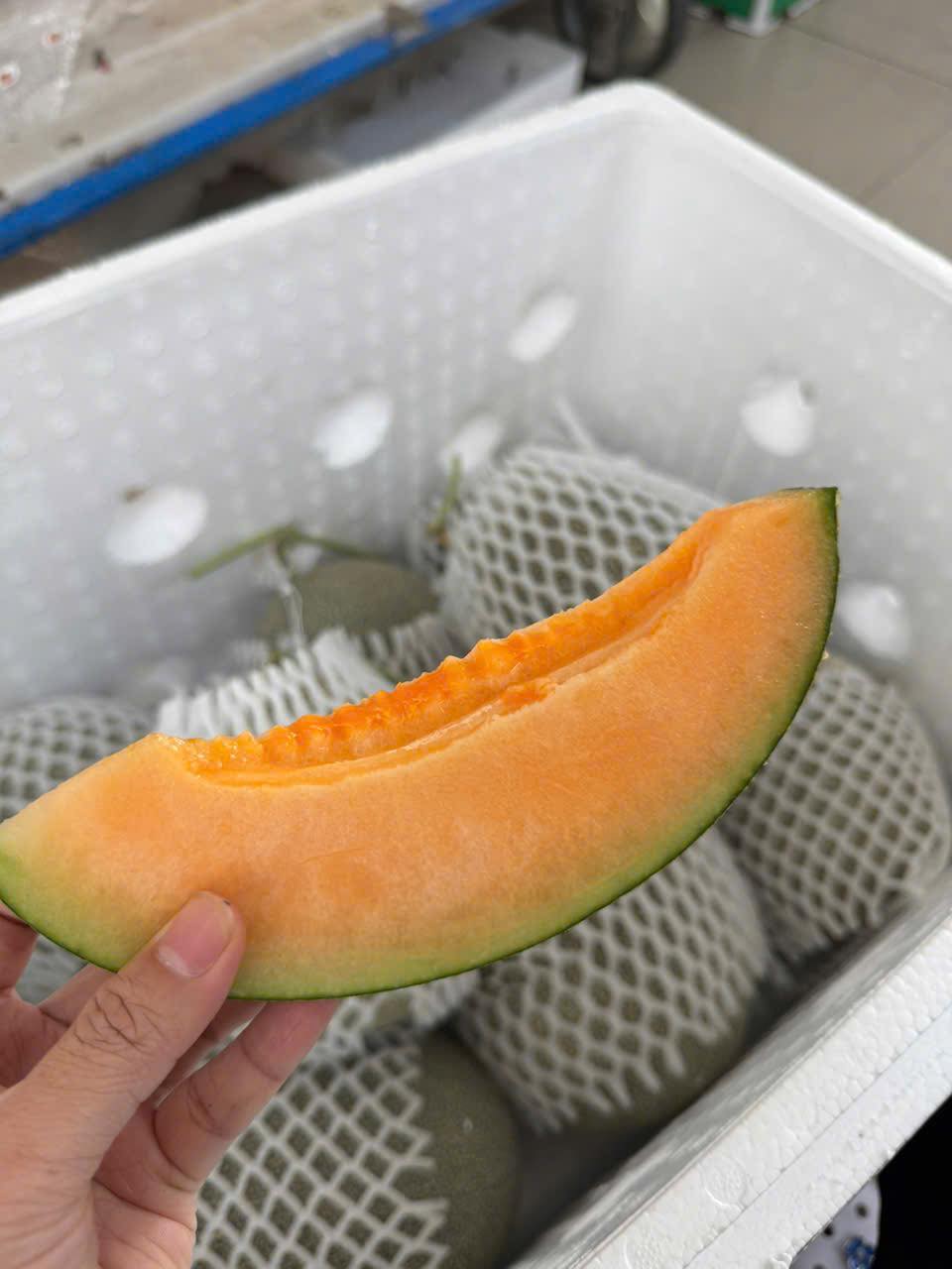 [🆕🇻🇳] Trái cây nhập khẩu – Han Fruit 🍔 Top1Food  🍜 Dưa Mật Egarden L1 – Nhập kho chuyến mới ah
 Về dưa mật thì vị như tên, độ ngọt cao hơn các loại dưa lưới khác.
 Loại L1 trái sẽ ko tròn đều như những loại , shares-1✔️ , likes-2❤️️ , date-2025-11-04 20:13:12🇻🇳🇻🇳🇻🇳📰🆕