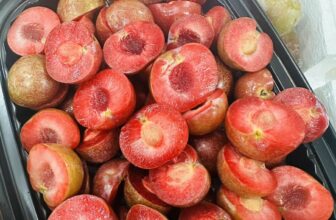 [🆕🇻🇳] Hương Thảo food and Fruits – Cửa hàng thực phẩm tự nhiên 🍔 Top1Food  🍜 Bình luận đã bị tắt cho bài viết này.
, shares-0✔️ , likes-0❤️️ , date-2025-11-03 20:44:21🇻🇳🇻🇳🇻🇳📰🆕