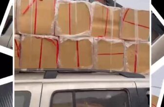 [🆕🇻🇳] Lạc Hồng:In hộp giấy, hộp mỹ phẩm, in hộp cứng giá rẻ 🎨 Top1Designs ✨  Chuyện chiếc xe 5067 – “Xe quà khủng long”
Sáng sớm tinh mơ, trên con đường làng yên tĩnh, xuất hiện một chiếc xe tải nhỏ biển số 5067 – nhưng “nhỏ” chỉ là , shares-0✔️ , likes-1❤️️ , date-2025-11-03 15:56:35🇻🇳🇻🇳🇻🇳📰🆕