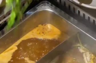 [🆕🇻🇳] Nhà Hàng Chay Buffet D’Gemma 🍔 Top1Food  🍜 #BuffetchayD’Gemma #BuffetchayTPHCM #LauchayTanPhu #Anchay #Buffetchay #anchayngon , shares-0✔️ , likes-370❤️️ , date-2025-11-03 14:30:01🇻🇳🇻🇳🇻🇳📰🆕