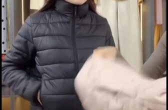 [🆕🇻🇳] Luxury – Thời trang cao cấp 👕 Top1Fashion 👗   , shares-0✔️ , likes-1❤️️ , date-2025-11-04 03:28:31🇻🇳🇻🇳🇻🇳📰🆕