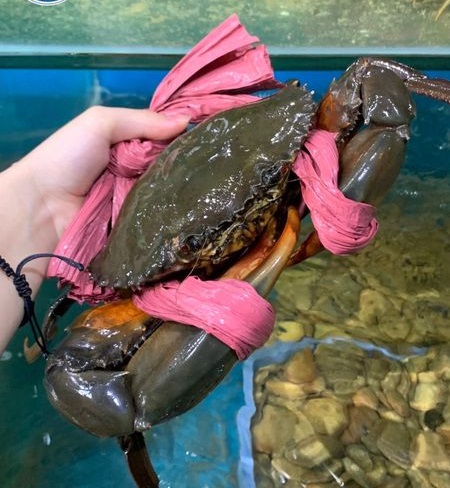 7 thói quen để hạnh phúc hơn từng ngày [🆕🇻🇳] bazaarvietnam.vn