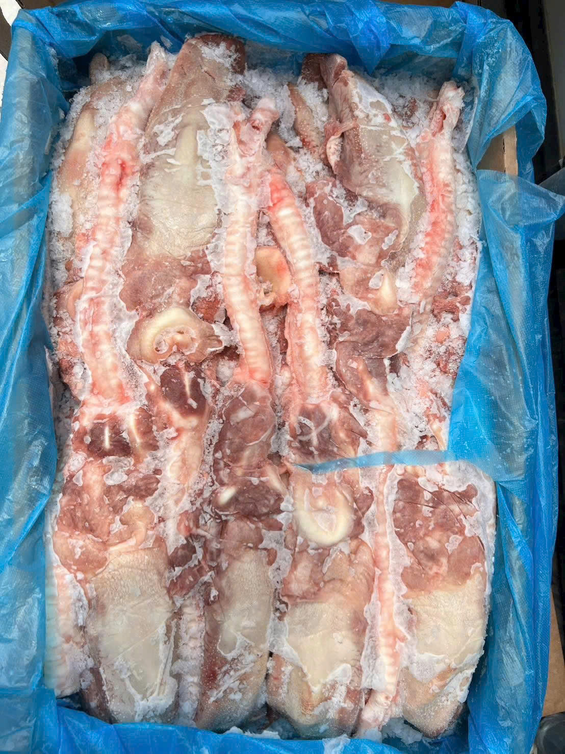 [🆕🇻🇳] Tài Phát Foods Giá Sỉ – Nhà bán buôn thực phẩm 🍔 Top1Food  🍜  LƯỠI HEO MỖI NGÀY – GIÒN DAI SỪN SỰT, CHUẨN VỊ NGON! 
Tìm kiếm nguyên liệu tươi ngon để làm món nhậu, gỏi hoặc phá lấu cực đỉnh? Đừng bỏ qua Lưỡi Heo 
 CH , shares-0✔️ , likes-0❤️️ , date-2025-11-04 15:55:44🇻🇳🇻🇳🇻🇳📰🆕