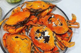 [🆕🇻🇳] Boss Seafood Vietnam – chuỗi nhà hàng chuyên các món Hải Sản 🍔 Top1Food  🍜  Cua Cốm Cho Người Sành Ăn
Còn Chục Em #Cua_Cốm Rệu Cực Ngon Nứt Hết Vỏ,
Nướng mọi hay hấp bao ngon ạ
Inbox Boss
, shares-1✔️ , likes-0❤️️ , date-2025-11-04 00:04:11🇻🇳🇻🇳🇻🇳📰🆕