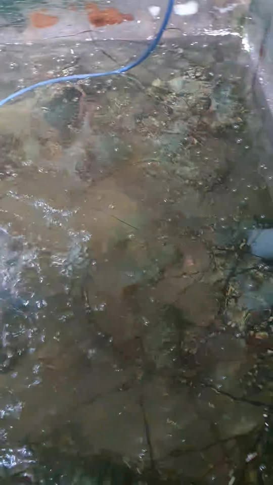 Cách trang điểm lâu trôi khi chơi lễ hội nhạc nước Waterbomb [🆕🇻🇳] bazaarvietnam.vn