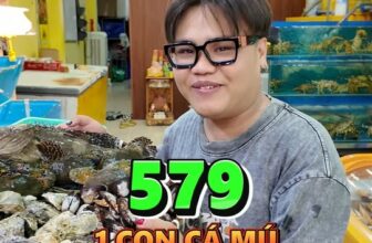 [🆕🇻🇳] Titi Seamarket – Cửa hàng hải sản tiện lợi ngon sạch 🍔 Top1Food  🍜 Combo hải sản #haisantiti #Combohaisan , shares-0✔️ , likes-47❤️️ , date-2025-11-04 23:00:21🇻🇳🇻🇳🇻🇳📰🆕