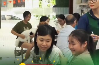 [🆕🇻🇳] Bệnh viện thú y PetHealth Hoàng Mai 🐶🦜 Top1Pets 🐱🐠  Vì sao PetHealth lúc nào cũng đông nghịt khách?
Sen xem xong hiểu liền!TOP 5 LÝ DO:1⃣ 𝐒𝐩𝐚 𝐭𝐨𝐚̀𝐧 𝐝𝐢𝐞̣̂𝐧 𝐜𝐡𝐢̉ 𝟔𝟗𝐊 – 6 bước chuyên nghiệp – khô , shares-0✔️ , likes-0❤️️ , date-2025-12-07 02:00:51🐶🐱🇻🇳🇻🇳🇻🇳📰🆕