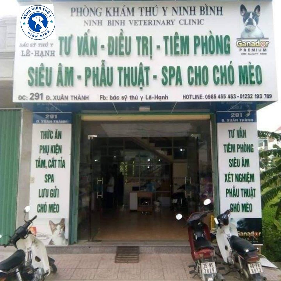 [🆕🇻🇳] Bệnh viện thú y Ninh Bình 🐶🦜 Top1Pets 🐱🐠 Bệnh viện thú y Ninh Bình đã cập nhật ảnh bìa của họ.
 , shares-0✔️ , likes-0❤️️ , date-2024-08-10 03:49:06🐶🐱🇻🇳🇻🇳🇻🇳📰🆕