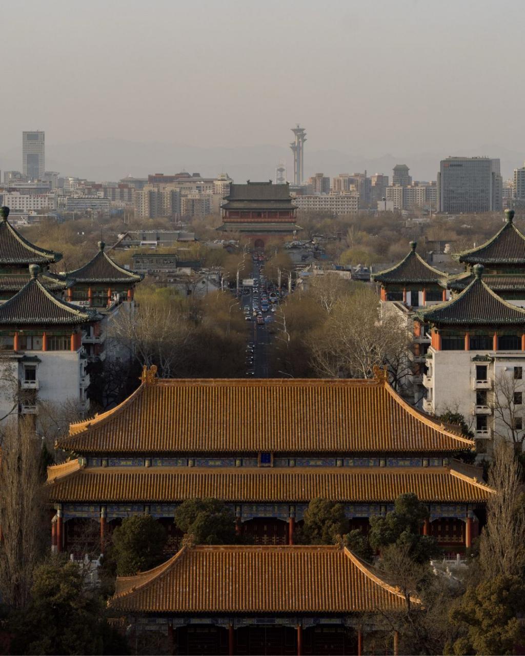 bzvn-ly-hien-dien-vien-nhiep-anh-gia-9