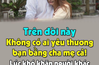 [🆕🇻🇳] Xưởng May Nhà Nga – Cửa hàng quần áo 👕 Top1Fashion 👗  Bình luận đã bị tắt cho bài viết này.
, shares-2✔️ , likes-6❤️️ , date-2022-07-27 16:59:01🇻🇳🇻🇳🇻🇳📰🆕