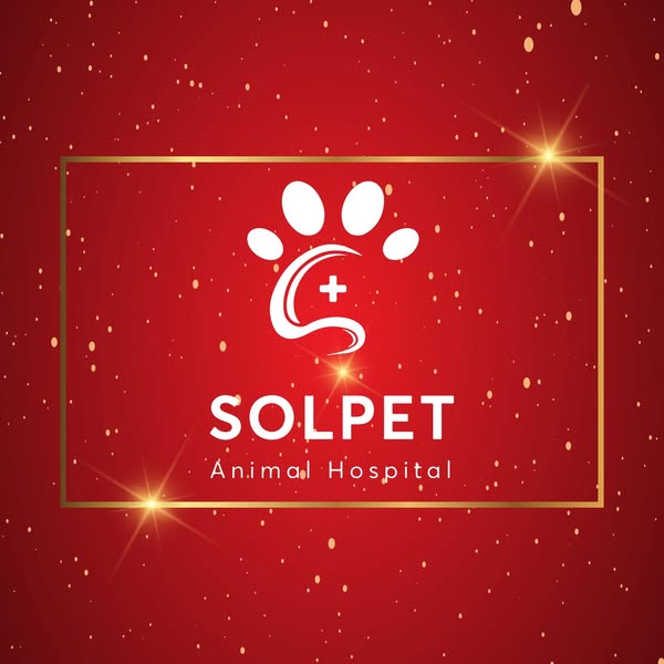 [🆕🇻🇳] Bệnh viện thú y Solpet Trần Khát Chân (522 Trần Khát Chân) 🐶🦜 Top1Pets 🐱🐠 Bệnh viện thú y Solpet Trần Khát Chân đã cập nhật ảnh đại diện của mình.
, shares-0✔️ , likes-10❤️️ , date-2024-09-13 04:05:33🐶🐱🇻🇳🇻🇳🇻🇳📰🆕